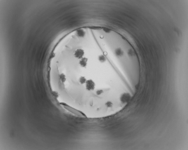 X0000112871104200910021327