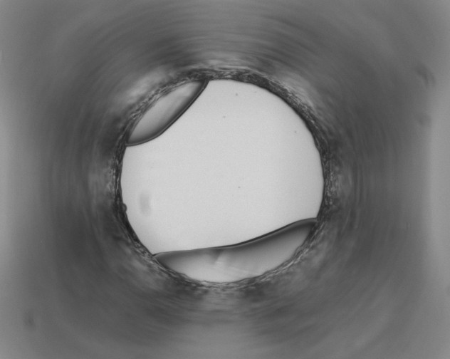 X0000112871110200910021327