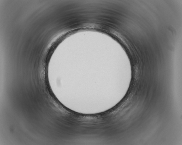 X0000112871115200910021327