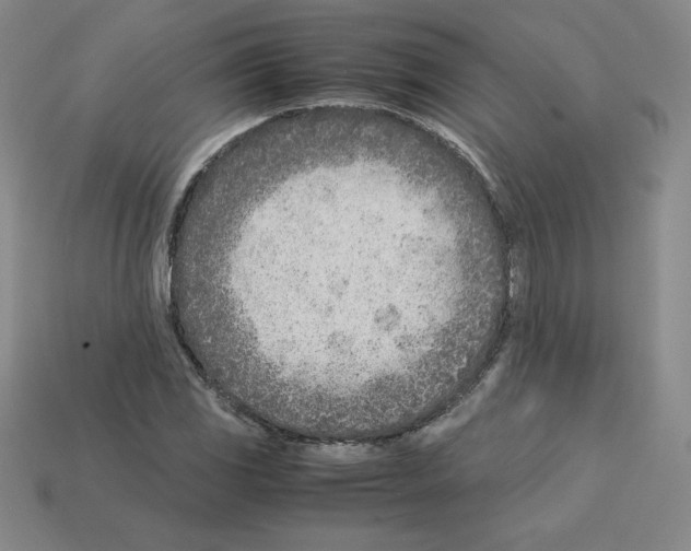 X0000112871117200910021327