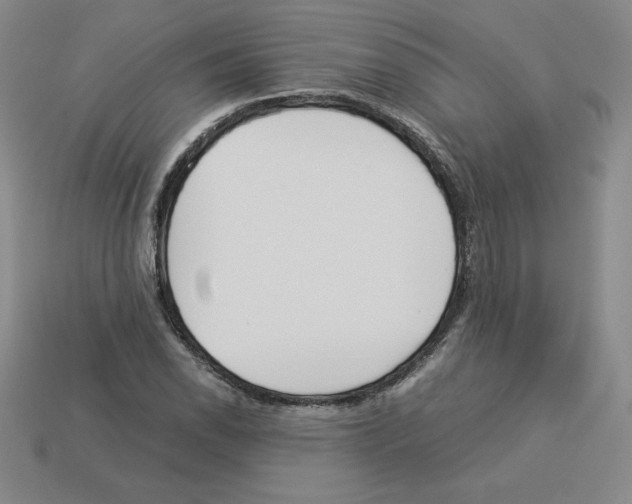 X0000112871118200910021327