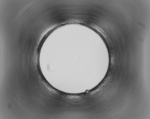 X0000112871119200910021327