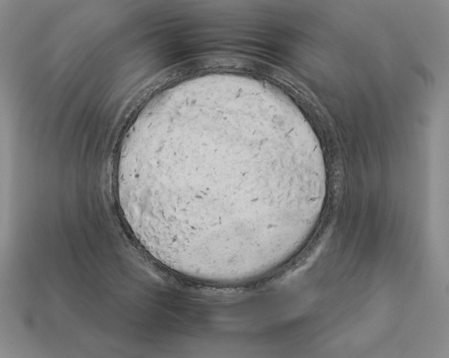 X0000112871121200910021327