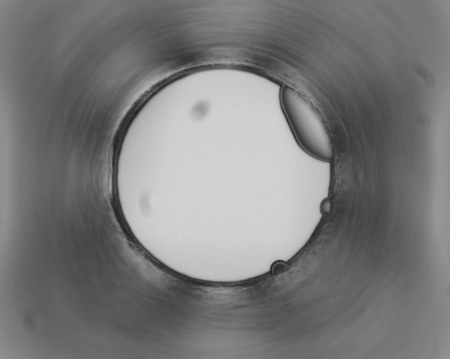 X0000112871132200910021327