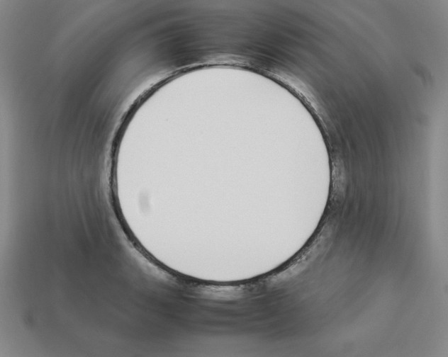 X0000112871135200910021327