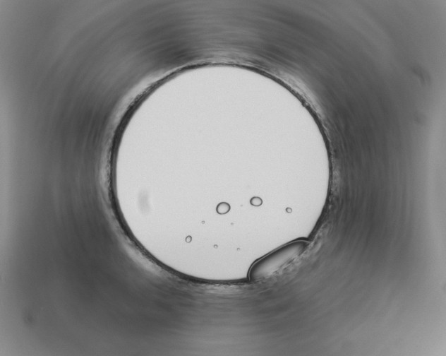 X0000112871136200910021327