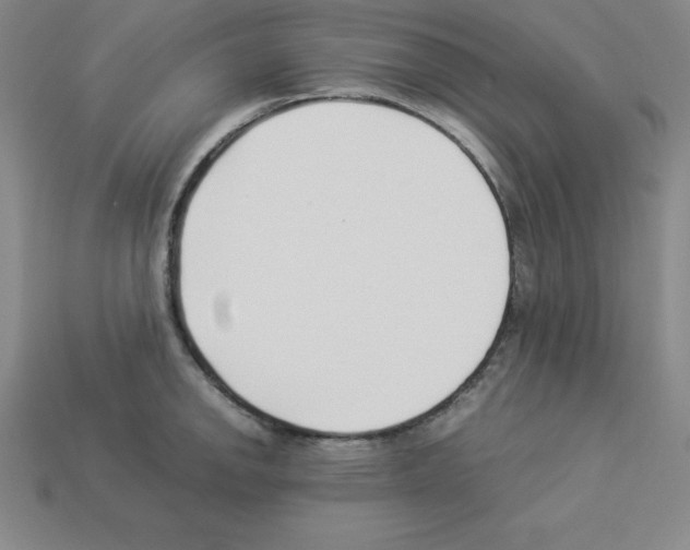 X0000112871142200910021327