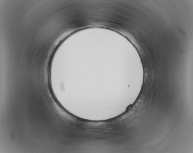 X0000112871143200910021327