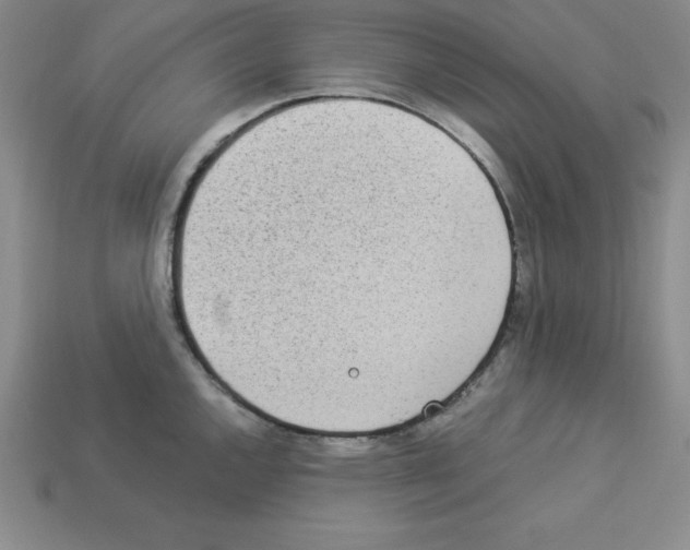 X0000112871144200910021327