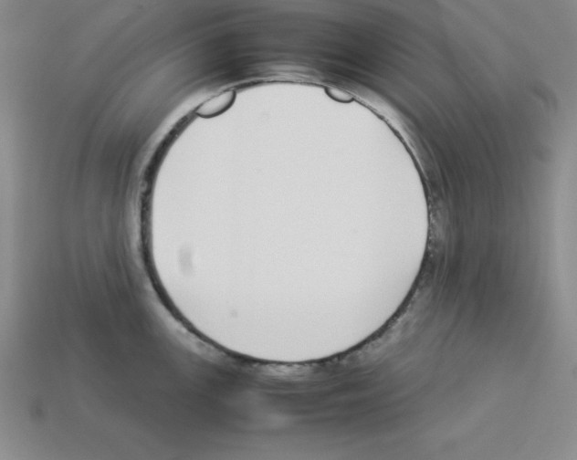 X0000112871147200910021327