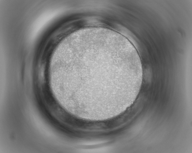 X0000112871150200910021327