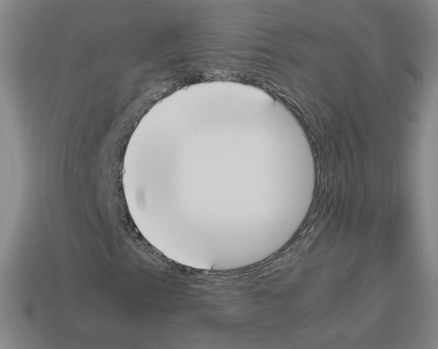 X0000112871153200910021326