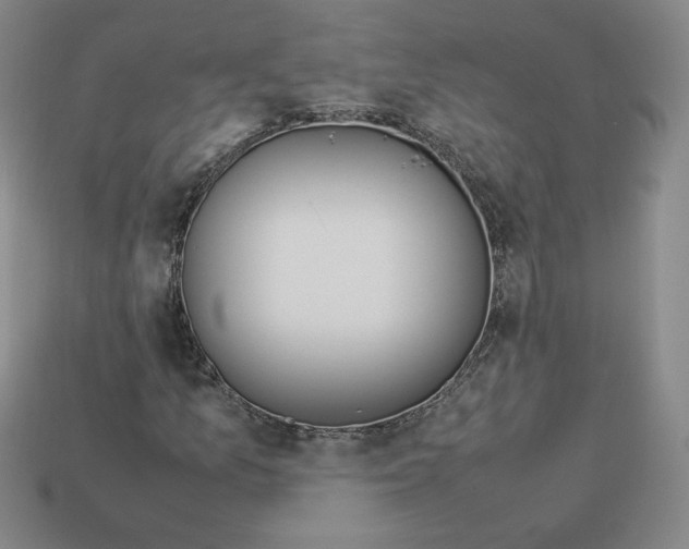 X0000112871157200910021326