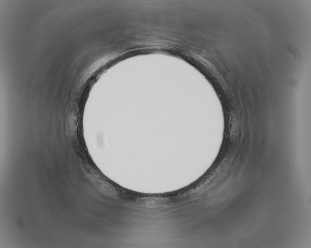 X0000112871163200910021326