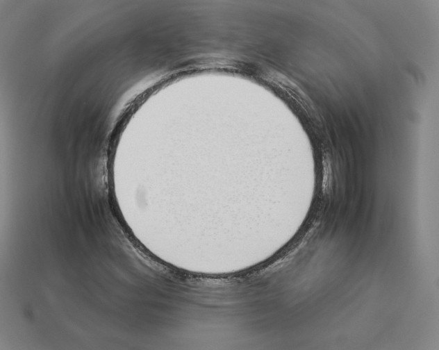 X0000112871164200910021326