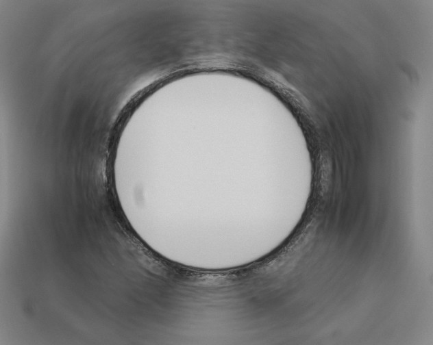 X0000112871166200910021326