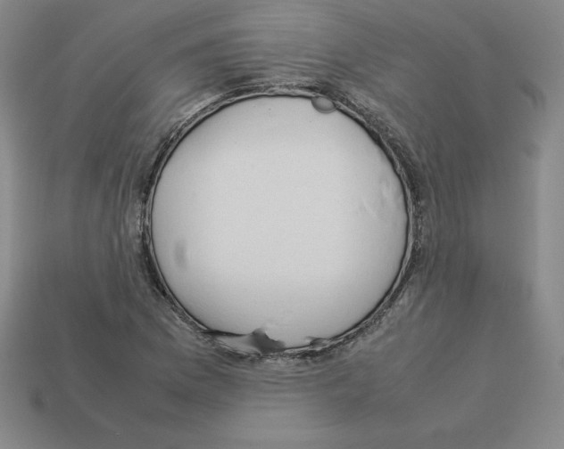 X0000112871169200910021326