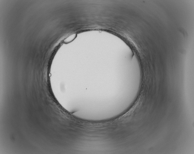 X0000112871173200910021326