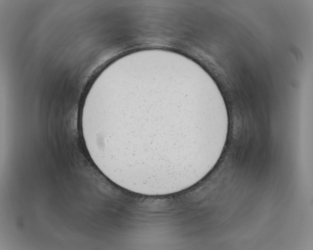 X0000112871174200910021326