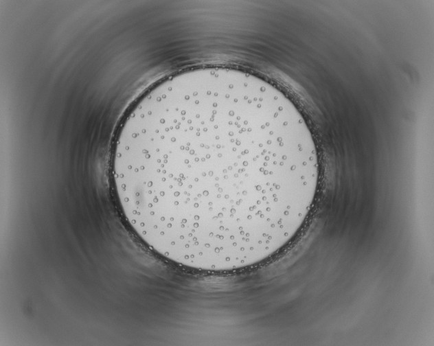 X0000112871178200910021326