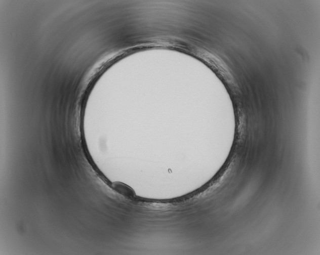 X0000112871180200910021326