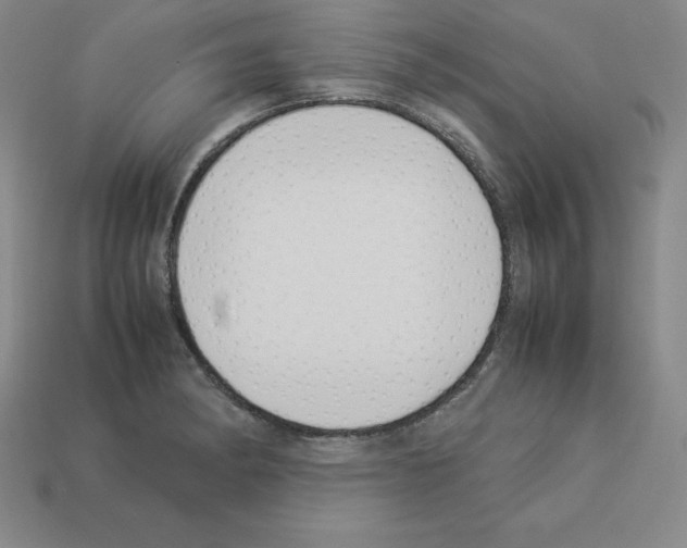 X0000112871182200910021326