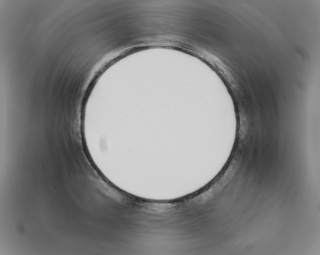 X0000112871184200910021326