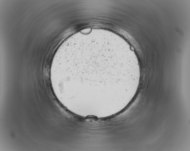 X0000112871185200910021326