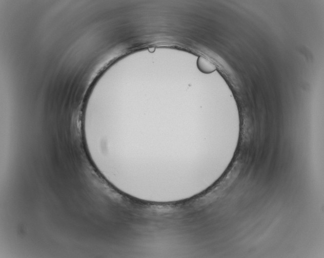 X0000112871190200910021326