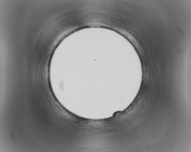 X0000112871191200910021326