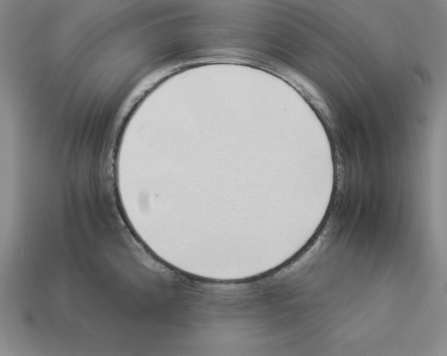 X0000112871192200910021326