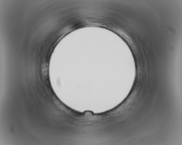 X0000112871193200910021326