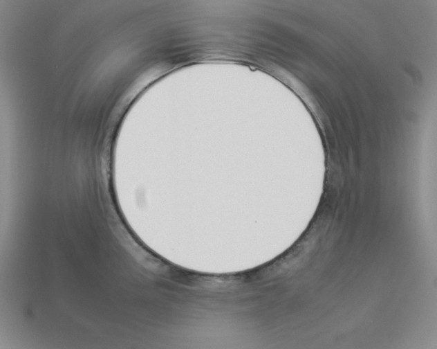 X0000112871195200910021326