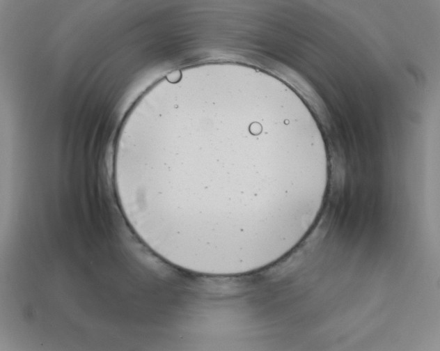 X0000112871198200910021326