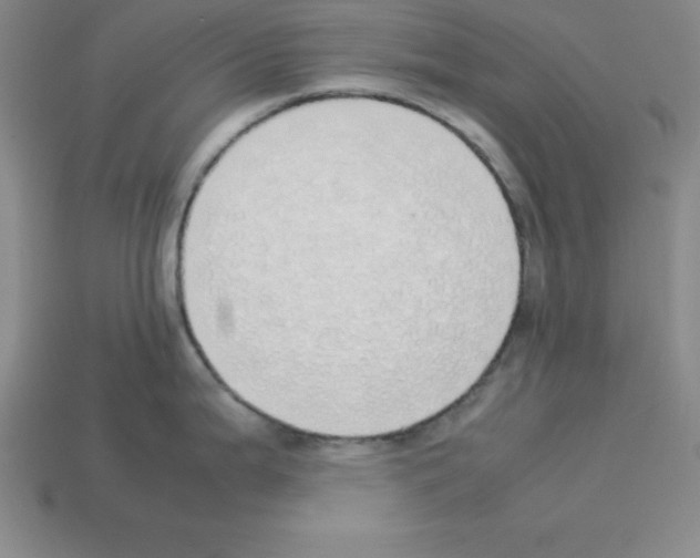 X0000112871199200910021326