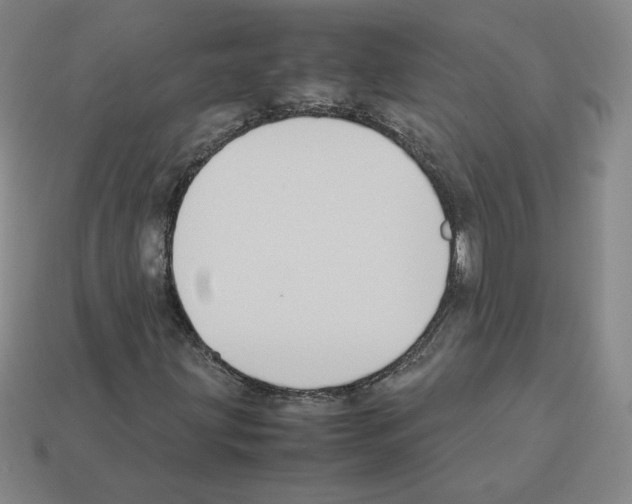 X0000112871203200910021325