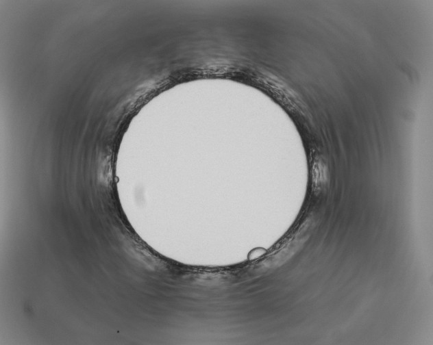 X0000112871204200910021325