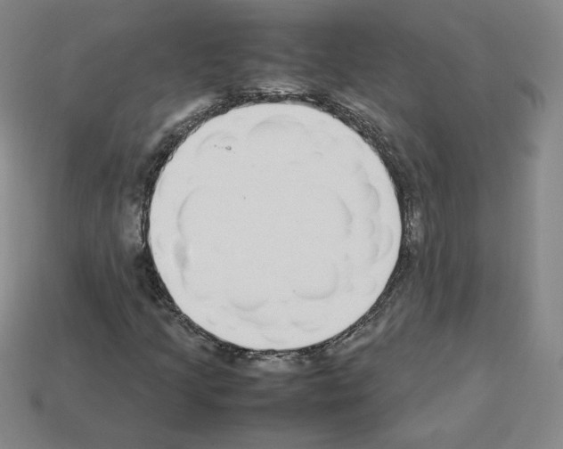 X0000112871205200910021325