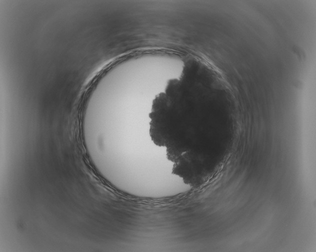 X0000112871208200910021325