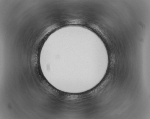 X0000112871211200910021325