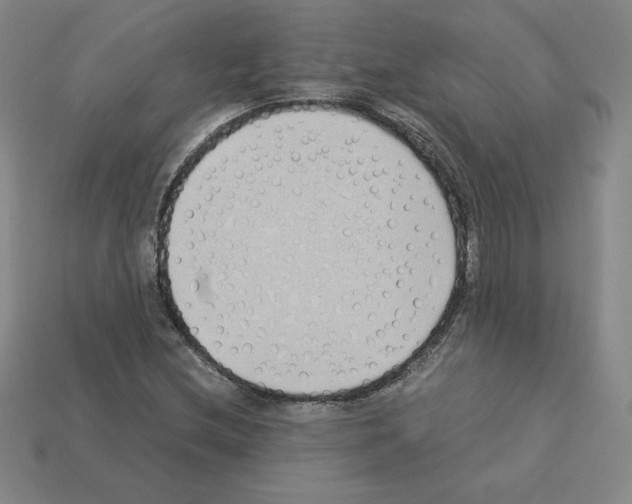 X0000112871212200910021325