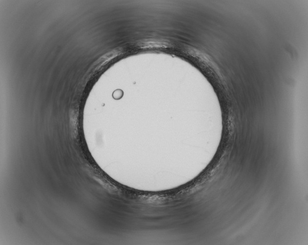 X0000112871217200910021325