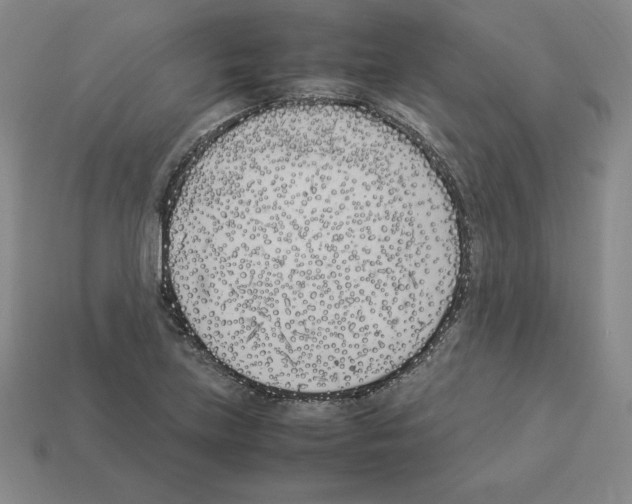 X0000112871219200910021325