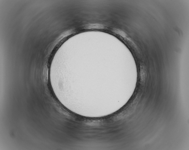 X0000112871221200910021325