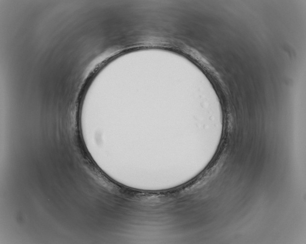 X0000112871222200910021325