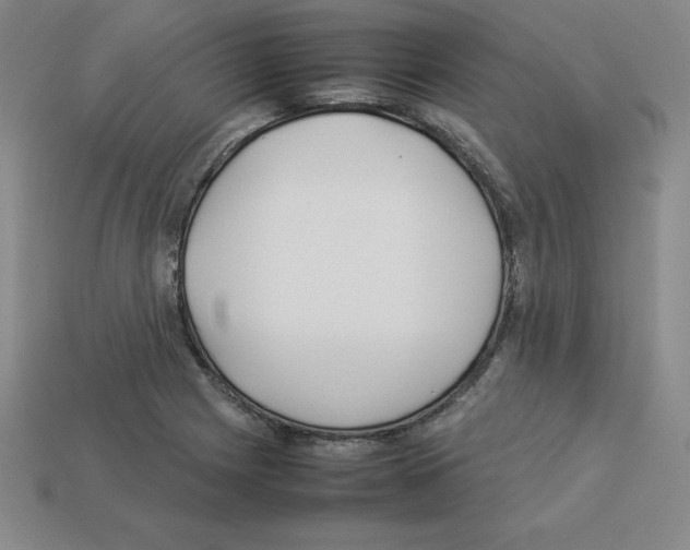 X0000112871225200910021325