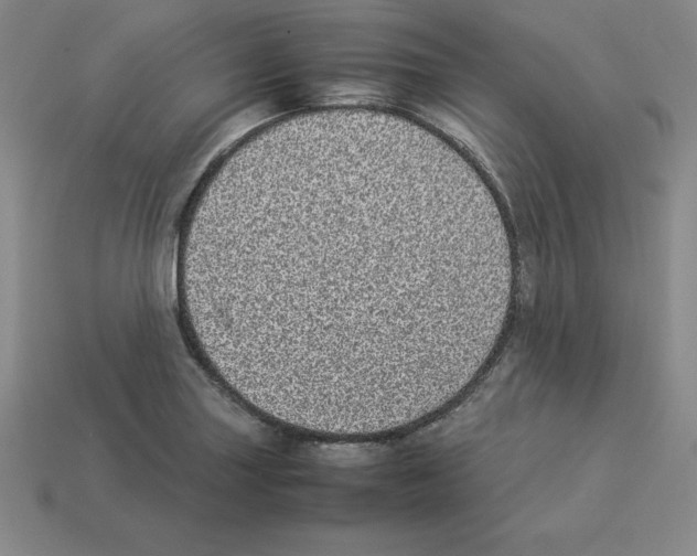 X0000112871227200910021325