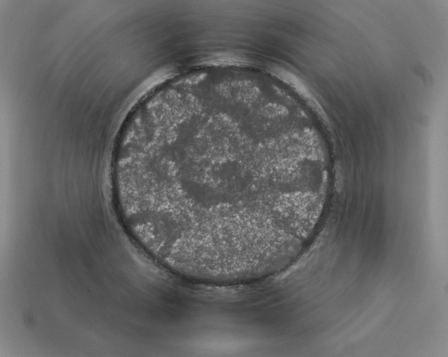 X0000112871229200910021325