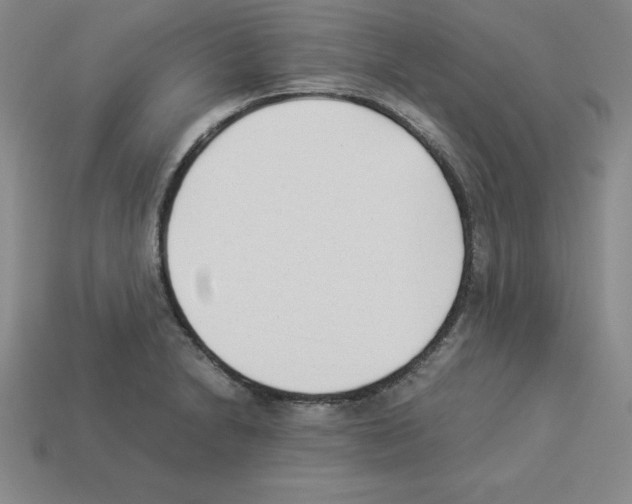 X0000112871230200910021325