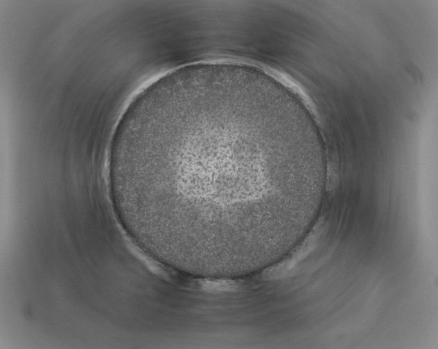 X0000112871231200910021325